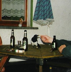 bild005groessenveraenderung.jpg